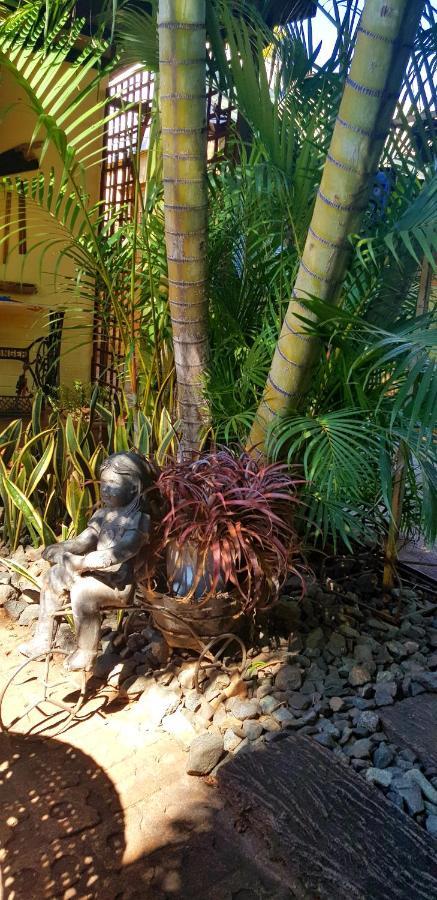 Africas Eden Guesthouse Mookgophong Buitenkant foto